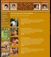 XXX Asian Gays Members Area